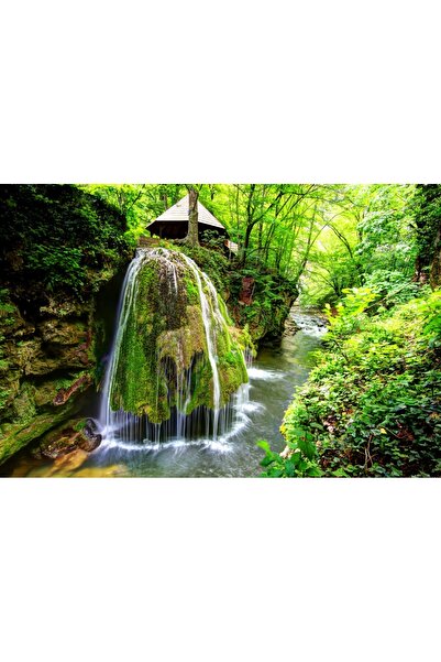 media Tablou canvas Cascada Bigar, Romania, 75 x 50 cm