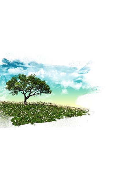 media Tablou canvas Compozitie15, 75 x 50 cm