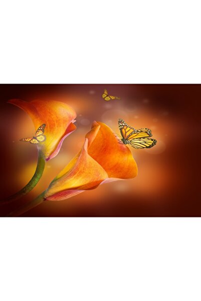 media Tablou canvas Crini portocalii, fluturi, 105 x 70 cm