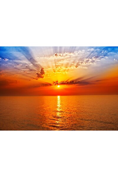 media Tablou canvas Natura 7, 60 x 40 cm