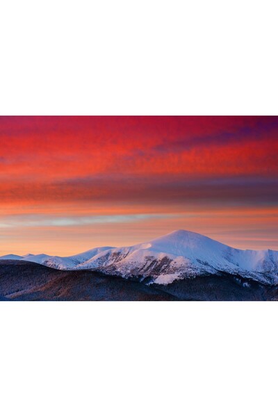 media Tablou canvas Natura134, 45 x 30 cm