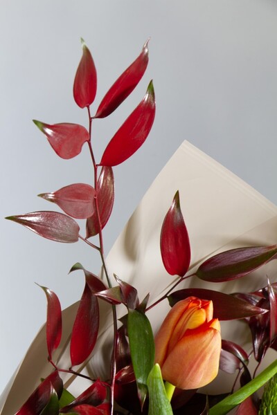 media Fototapet de perete autoadeziv si lavabil Flori160 Buchet cu lalea si l...