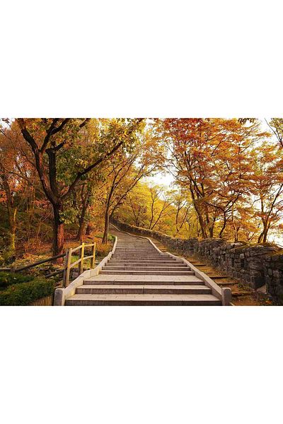 media Canvas painting Stairs to Heaven, 60 x 40 cm