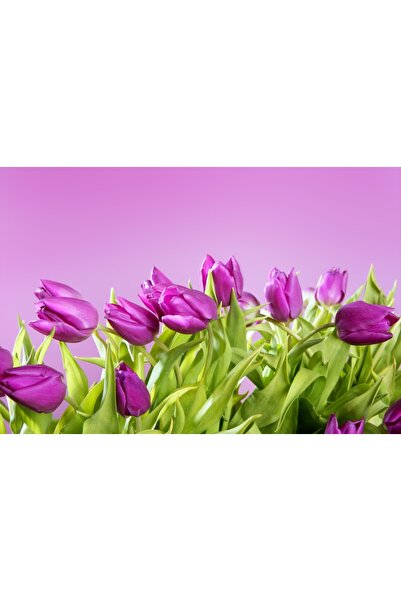 media Tablou canvas Flori135, 75 x 50 cm