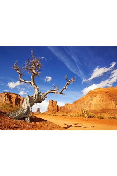 media Fototapet de perete autoadeziv si lavabil Natura173 Arizona Grand Canyon, 200 x 150 cm