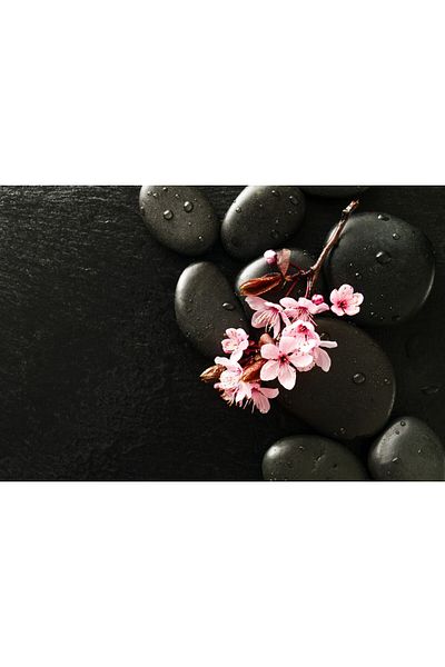 media Canvas painting Flowers147, 90 x 60 cm