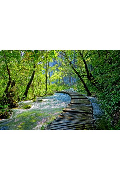 media Tablou canvas Pod lemn, padure, parc Plitvice, 45 x 30 cm