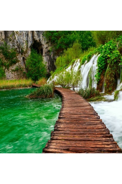 media Tablou canvas Podet lemn, parc national Plitvice, 60 x 60 cm