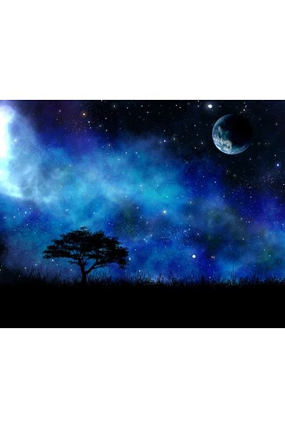 media Fototapet de perete autoadeziv si lavabil Univers9 Pom printre stele, 250 x 150 cm