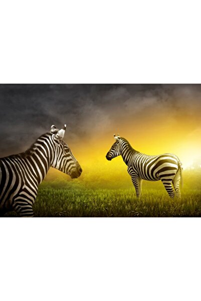 media Tablou canvas Animal10, 45 x 30 cm