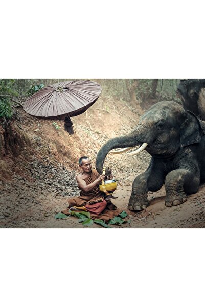 media Tablou canvas People16, 75 x 50 cm