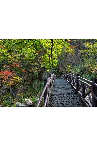media Canvas painting Bridge to nature, 75 x 50 cm
