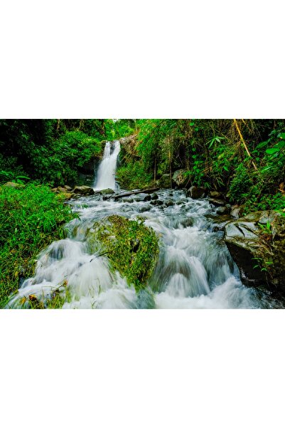 media Tablou canvas Cascada38, 75 x 50 cm