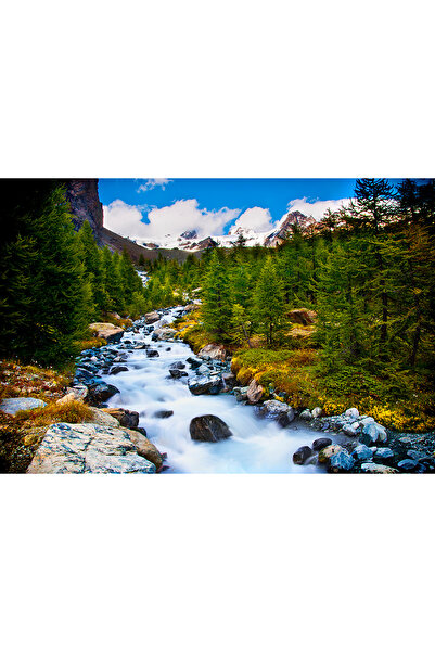 media Tablou canvas Rau cu pietre, 90 x 60 cm