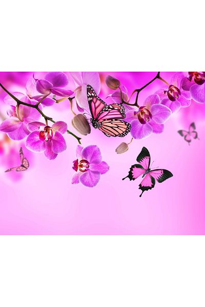 media Canvas painting Flowers 3, 105 x 70 cm