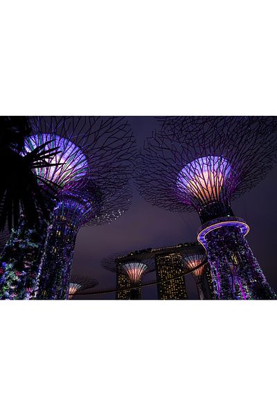 media Canvas painting Singapore Park 2, 60 x 40 cm