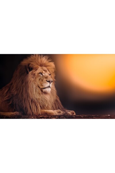 media Tablou canvas Animal53, 90 x 60 cm