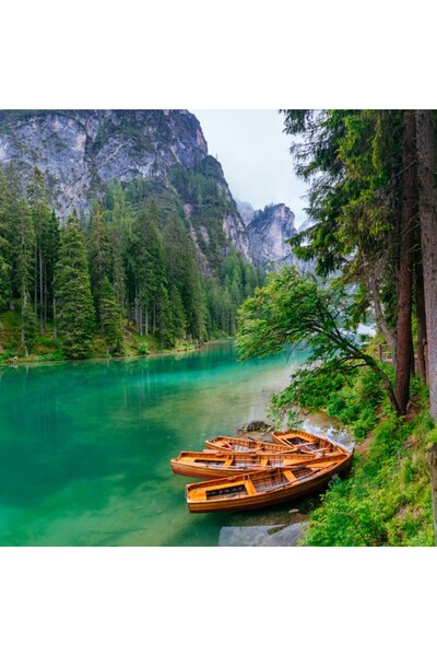 media Tablou canvas Natura125, 45 x 45 cm