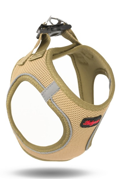 Pets Carnival Kedi Köpek Air-mesh Göğüs Tasması Ve Gezdirme Sevk Kayışı Seti 2si1 Arada