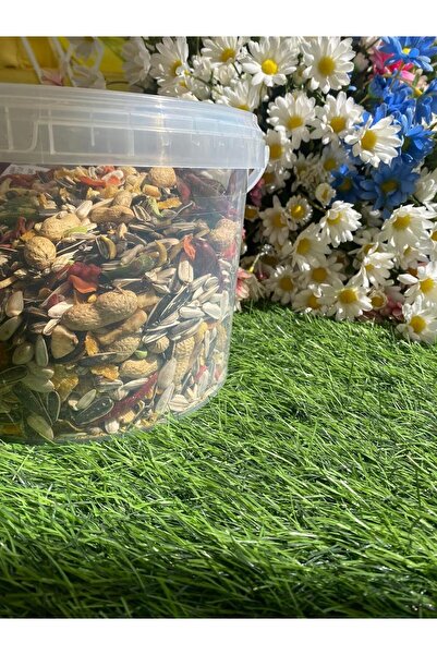 MyPetShop Premium Bird Food Seed Mix - 2 KG | Complete Diet for Medium & Large Parrots | Grains, Seeds, Nuts,