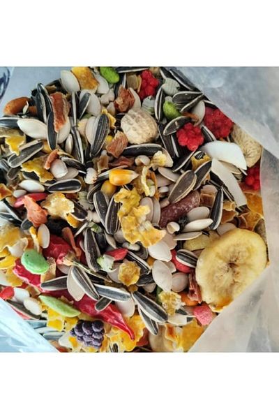 NEXIFY Premium Bird Food Seed Mix - 2 KG | Complete Diet for Medium & Large Parrots | Grains, Seeds, Nuts,