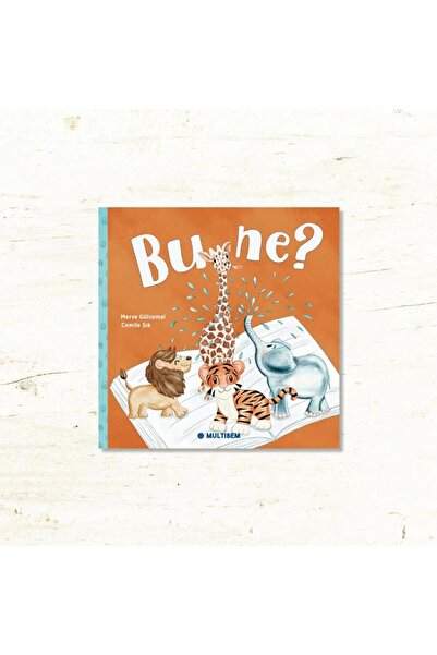 Multibem Yayınları BU NE?