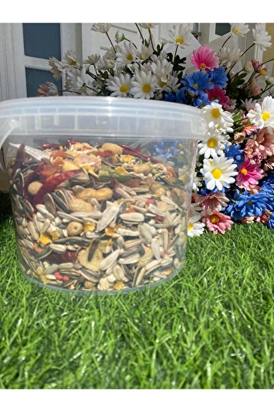 MyPetShop Premium Bird Food Seed Mix - 2 KG | Complete Diet for Medium & Large Parrots | Grains, Seeds, Nuts,