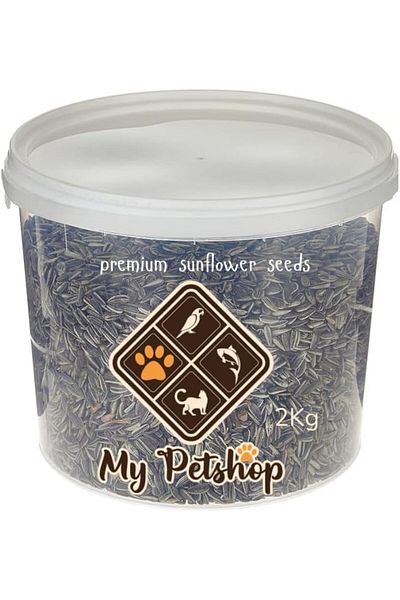 SKY TOUCH MyPetShop® Bird Feeding Sunflower Seeds - 2 Kg Bucket | Protein-Rich Nutrition for Healthy Birds