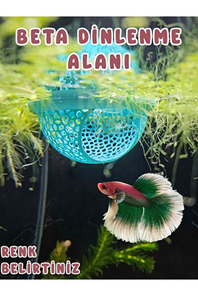 MDİZMİR Beta Dinlenme Alanı Balık Yuvası Üretim Tüpü Küçük Akvaryum Ve Büyük ...
