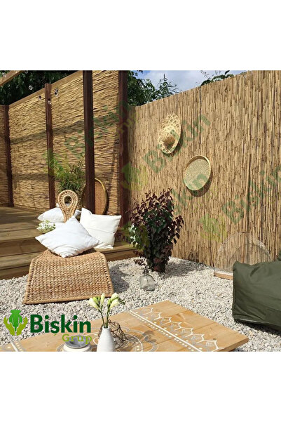 BİŞKİN Kamış Çit – 200 CM Yükseklik x 200 Genişlik CM Hasır Çit, Natural Bambu Çit Bahçe Dekoru