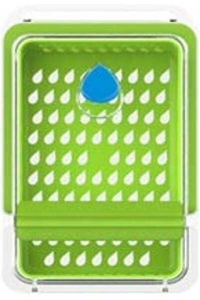 Generic حافظة الأعشاب الطازجة ديو جرين
