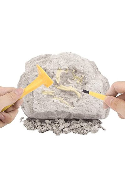 OEM Educational archaeology game, discover the Dinosaur fossil, Diplodocus