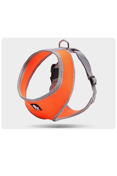 True Love Orange Air Mesh - Dog-Cat Collar, Small Size