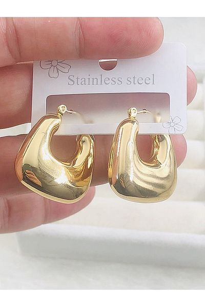 DS DİAMONDSHOP Steel Earrings Basket Model New Season Byçkp-20256186