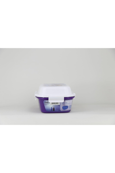 SUNCE Disney Fr ozen 4-Clip Closure Lunch Box