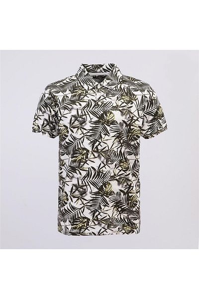 Dio Rise Men's Polo Neck Short Sleeve T-Shirt - (M-2Xl) - Pld-468 - Semillon