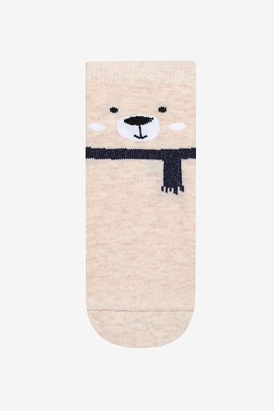 Penti Boy - Cold Bear 3-Piece Colorful Sock Set