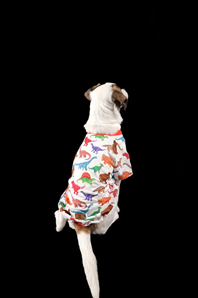 Peti Tailor DİNAZOR DESENLİ TURUNCU DETAYLI KOLLU TİŞÖRT KEDİ KÖPEK KIYAFETİ