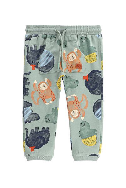 Coccodrillo Pantaloni de trening pentru băieți WC5120102SBN verzi