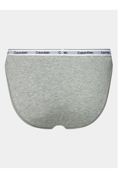 Calvin Klein underwear Women's Classic Briefs 000QD5215E Gray
