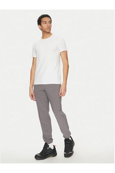 Columbia Pantaloni de exterior pentru bărbați 2097543 Gri