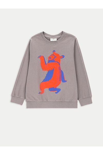 Coccodrillo Boy Blouse ZC4143104FBK Gray