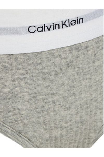 Calvin Klein calvin klein underwear Women's Classic Briefs LV00QF8022 Gray