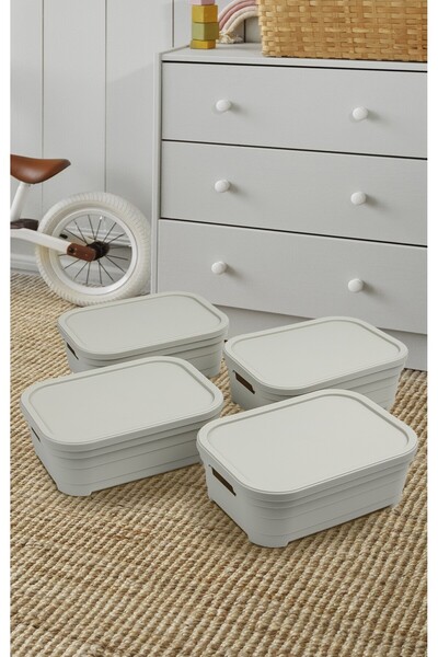 Nesto Home Set of 4 Multi-Purpose Colored Box with Lid Office Organizer 4X2.8 Liters