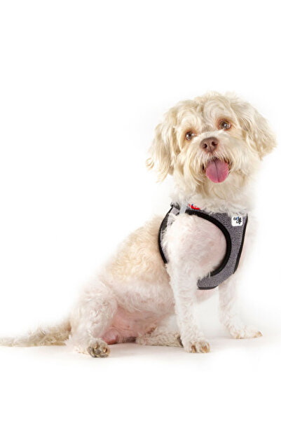 Curli Vest Harness Merino Clasp Black