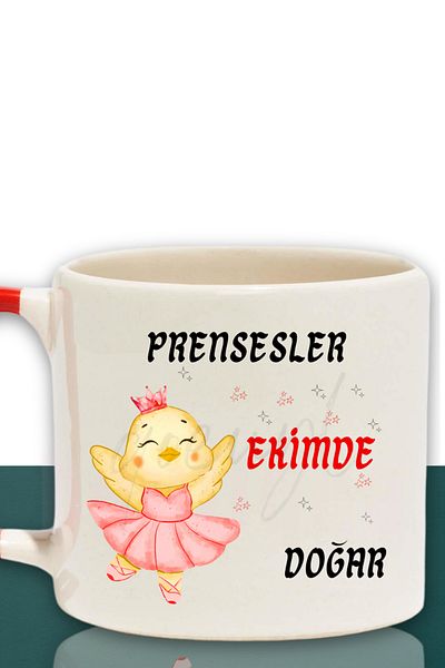 qoeuyl boutique Princesses Are Born This Month Printed Birthday Gift for Friend, Lover Red Handled Mug Cup