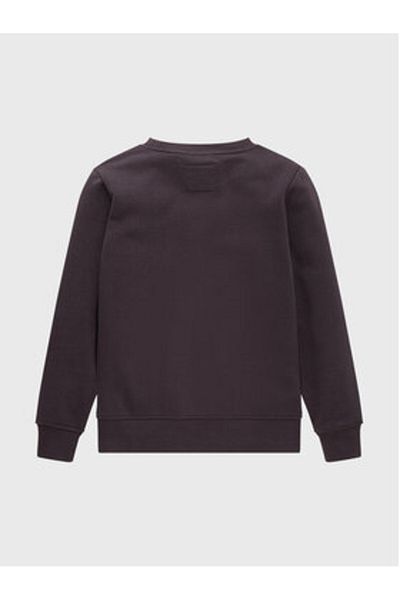 Tom Tailor Boy Sweatshirt 1033194 Gray