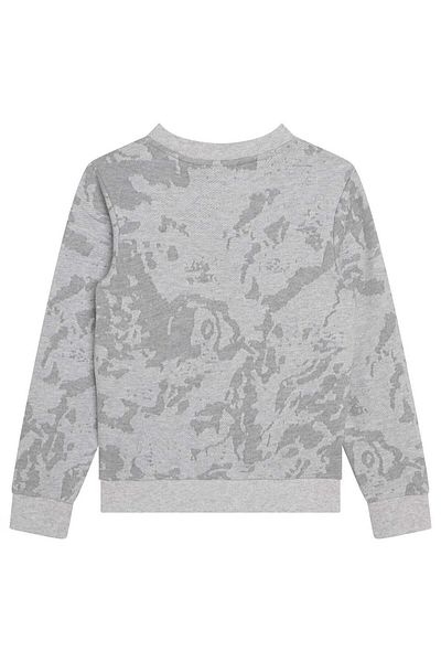 Timberland Boy Sweatshirt T25U10 Gray