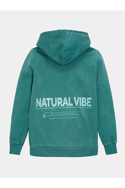 Tom Tailor Boy Sweatshirt 1038309 Green