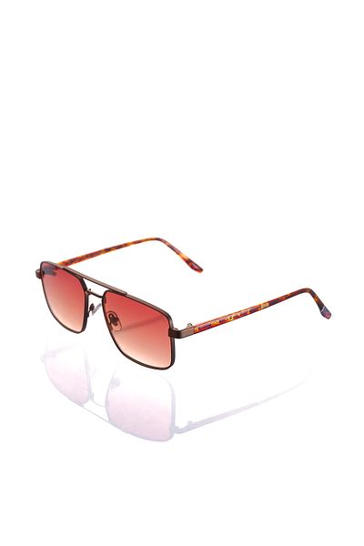 AR COLLECTİON Plus Men Metal Sunglasses Ar312 C53